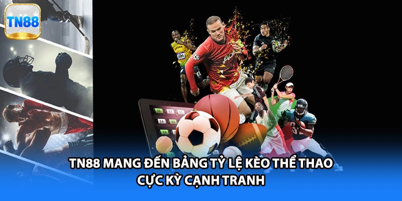 TN88 mang đến bảng tỷ lệ kèo thể thao cực kỳ cạnh tranh